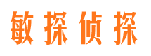 鱼峰市调查公司